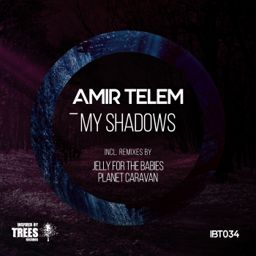 My Shadows cover