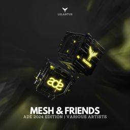 MESH & Friends | ADE '24 VA cover