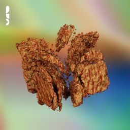 Icaro cover