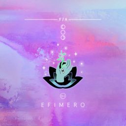 Efimero VA 04 cover