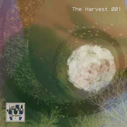 The Harvest 001 cover