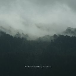 Forest Towers cover