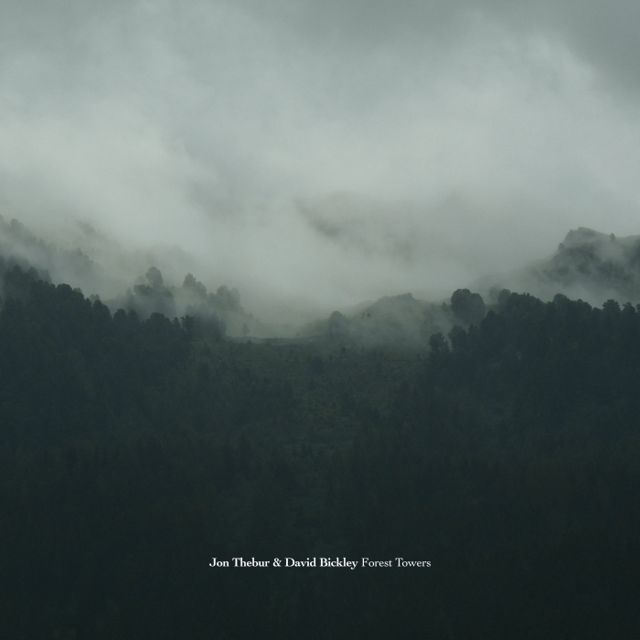 Forest Towers cover