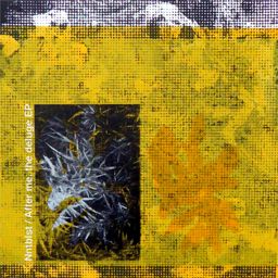 After Me, The Deluge cover
