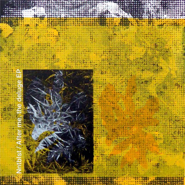 After Me, The Deluge cover