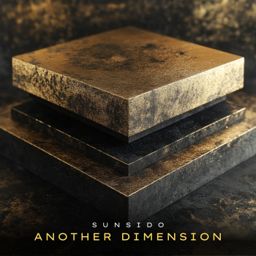 Another Dimension cover