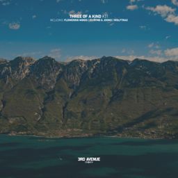 Three of a Kind #031 cover