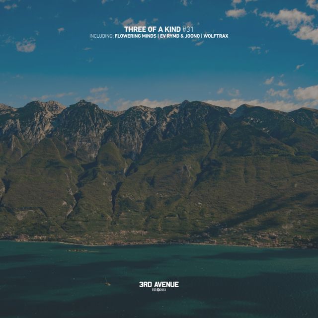 Three of a Kind #031 cover