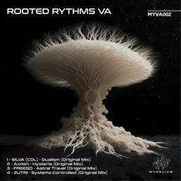 Rooted Rythms VA #2 cover