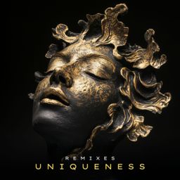 Uniqueness Remixes cover