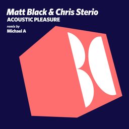 Acoustic Pleasure cover