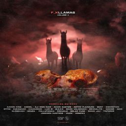 F_K Llamas, Vol. 2 cover