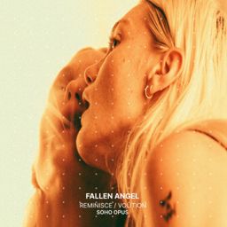 Reminisce cover