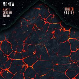 Mantle / Chronal / Bloom cover