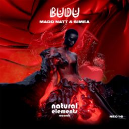 Budu cover