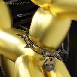 Katze Und Hunde cover