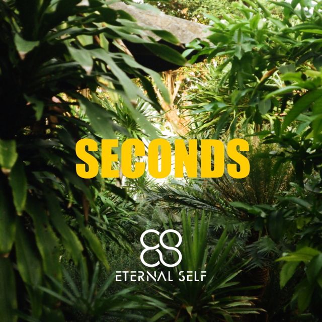 Seconds cover