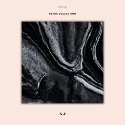 Cycle Remix Collection cover