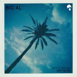 Say to Me cover