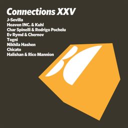 Connections, Vol. XXV cover