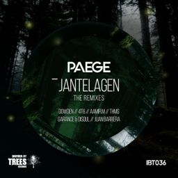 Jantelagen - The Remixes cover