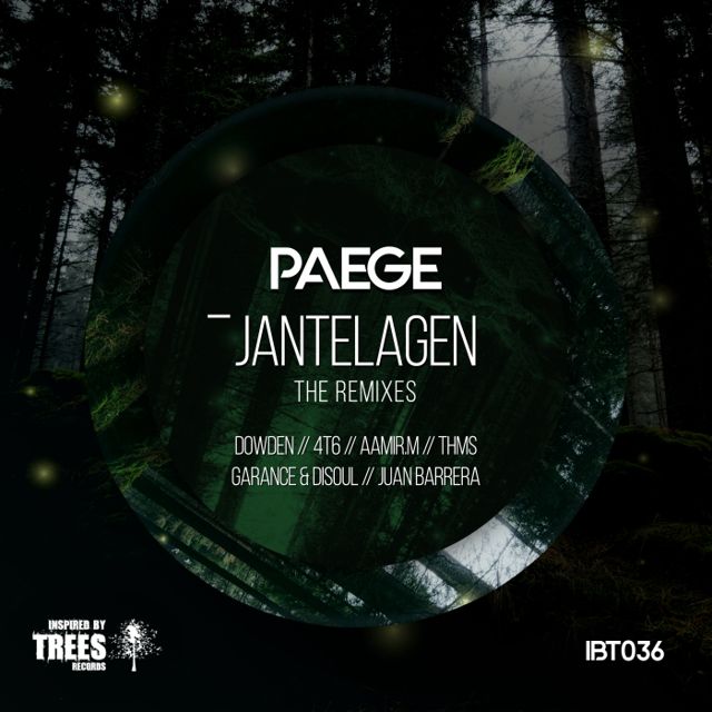 Jantelagen - The Remixes cover