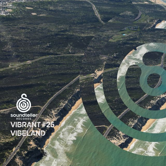 Vibrant Vibeland #25 cover