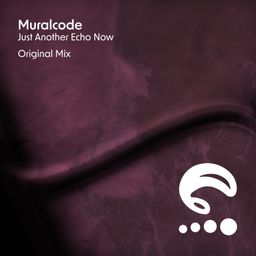 Just Another Echo Now cover