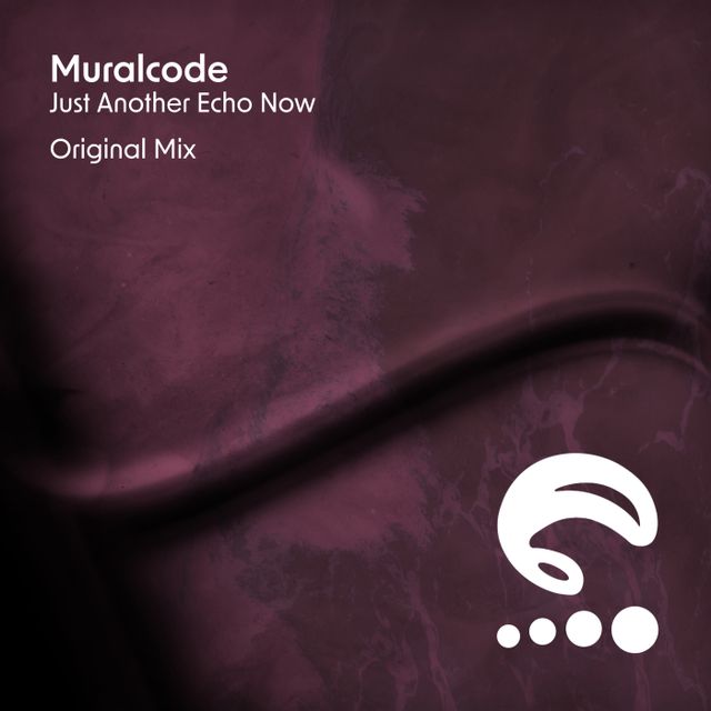 Just Another Echo Now cover