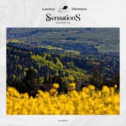 Sensations, Vol. 08 cover