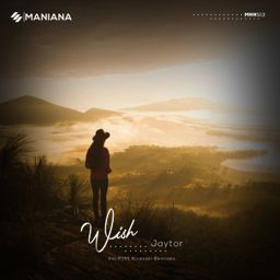 Wish cover
