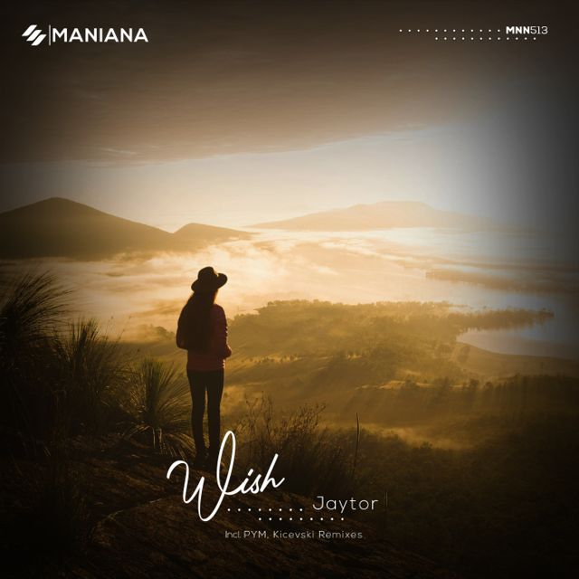 Wish cover
