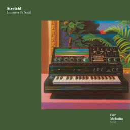 Introvert's Soul cover