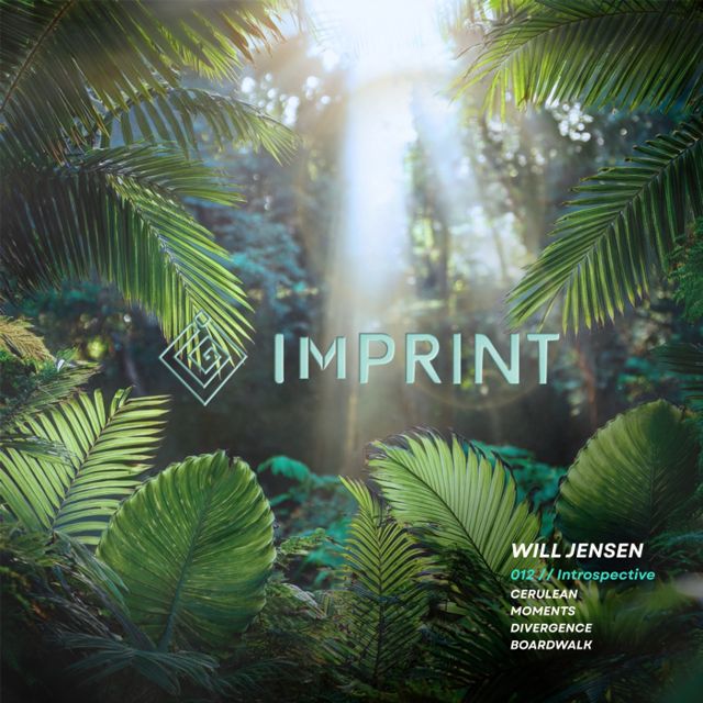 Introspective cover