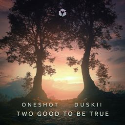 Two Good to Be True cover