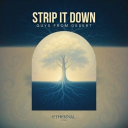 Strip It Down cover