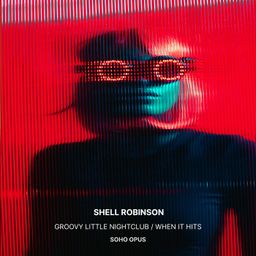 Groovy Little Nightclub cover