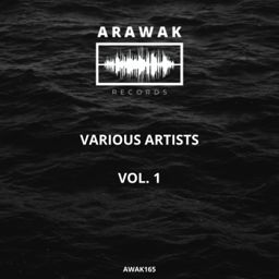 Various Artists, Vol. 1 cover