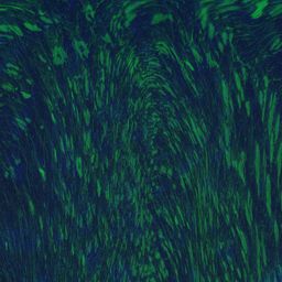 The Wild and Unknown cover