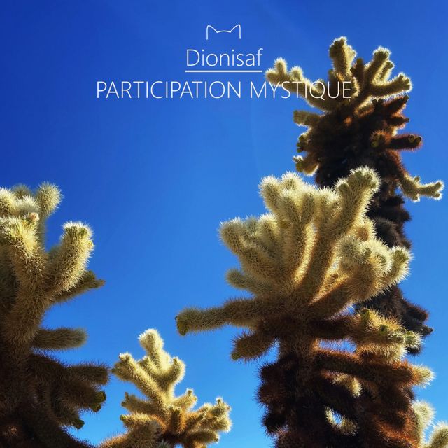 Participation Mystique cover