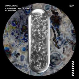 Chrono Collapse cover