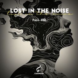 Lost in the Noise cover