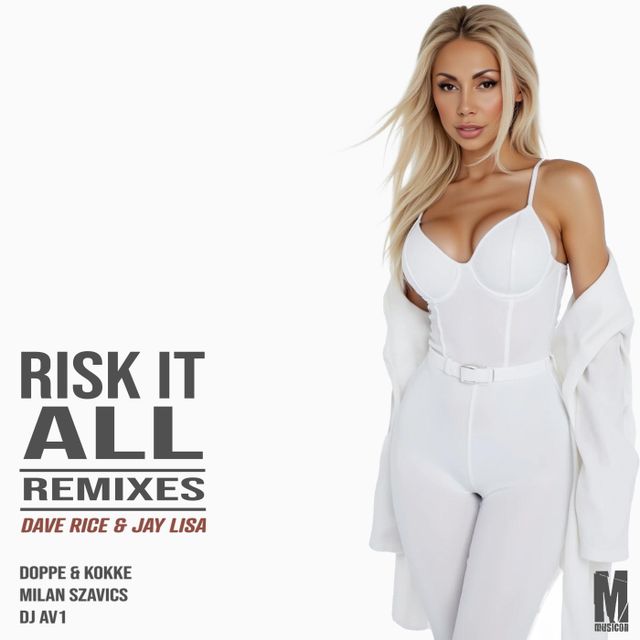 Risk It All Remixes cover