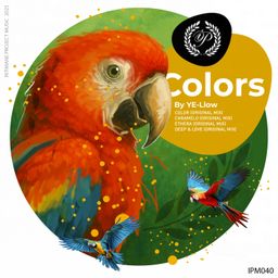 Colors cover