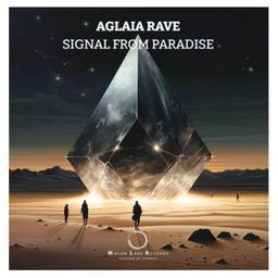 Signal From Paradise cover