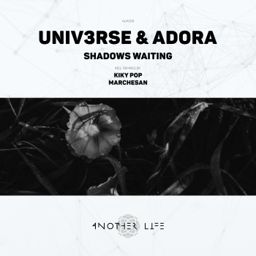 Shadows Waiting cover
