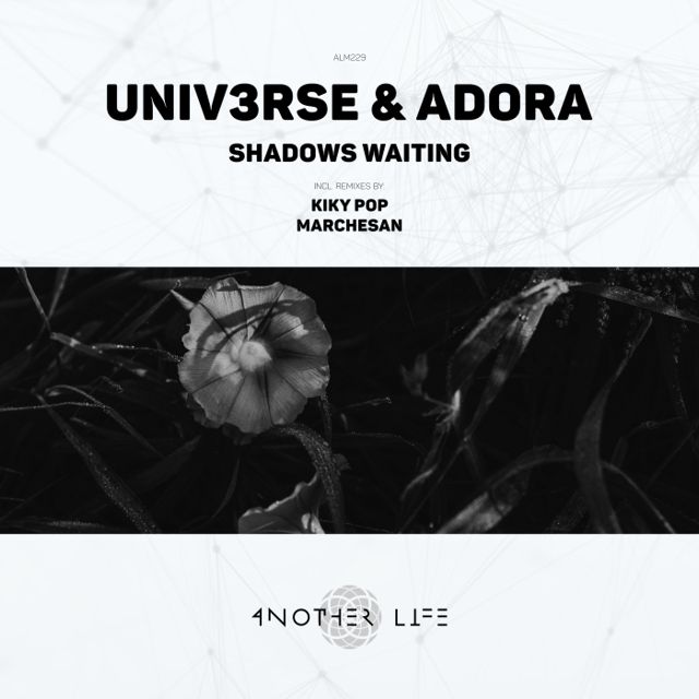 Shadows Waiting cover