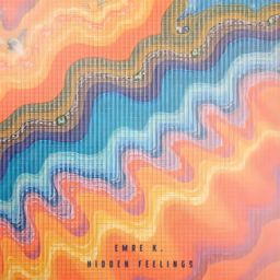 Hidden Feelings cover