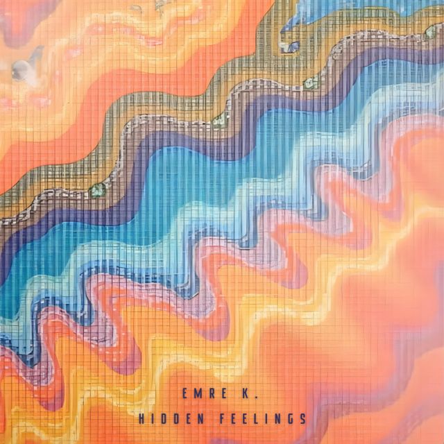 Hidden Feelings cover