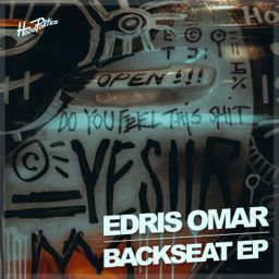 Back Seat cover